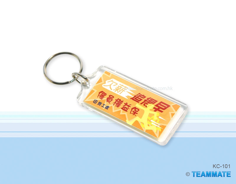 膠匙扣  Plastic Keyring (Insert Paper Printing)