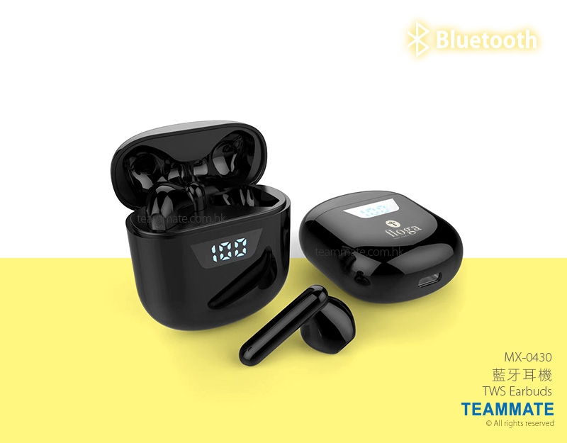 藍牙耳機 TWS Earbuds