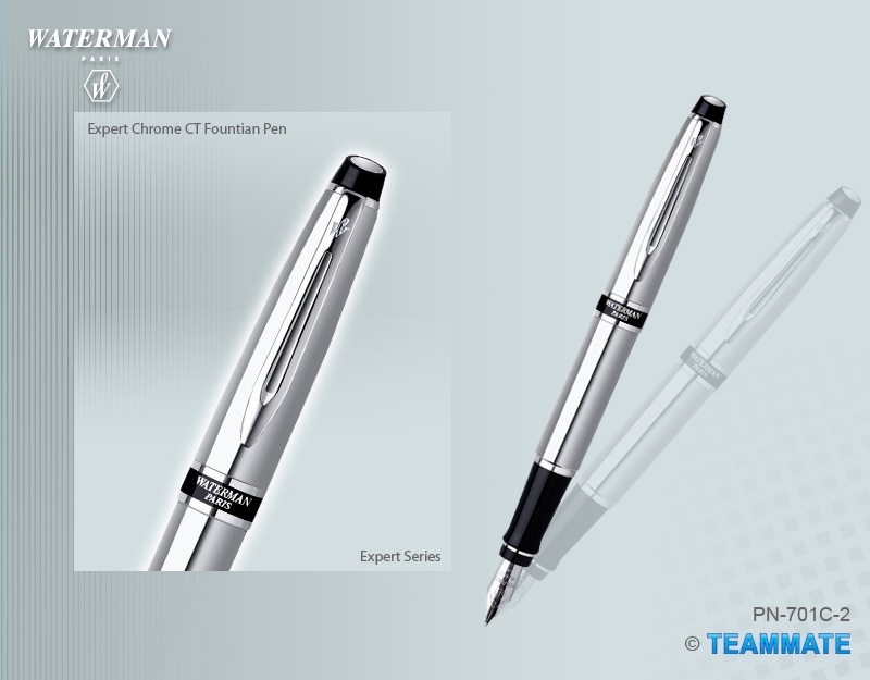 威迪文權威鋼杆白夾墨水筆 Waterman - Expert Stainless Steel CT  Fountian Pen