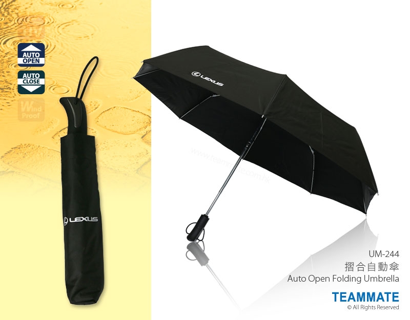 摺合自動雨傘  Auto Open Folding Umbrella 