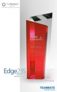  The Perfect - Crystal Trophy  ( Edge 235 )