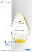  The Perfect - Crystal Trophy (Lumina )