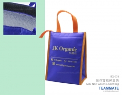 迷你雪糕保溫袋 Mini Non-woven Cooler Bag