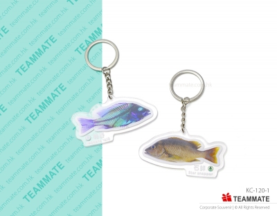 特色匙扣  Acrylic Keyring 