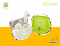 藍牙耳機 TWS Earbuds