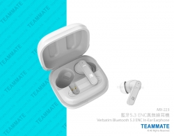 藍牙真無線藍牙耳機 Verbatim Earbuds