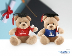 畢業熊 ｜畢業公仔｜訂製畢業熊｜畢業紀念品 Graduation Bear ｜Teddy Bear｜Plush Toy