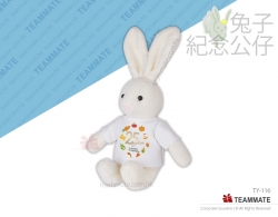 兔兔毛公仔 ｜畢業紀念公仔｜訂製畢業校服毛公仔｜訂造畢業公仔 Plush Bunny with Shirt 