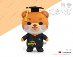畢業熊 ｜毛公仔訂製｜訂造彩印公仔｜校園禮品 Graduation Plush Toys ｜Graduation Bear
