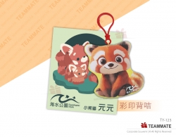匙扣公仔連背咭 ｜匙扣公仔定製｜宣傳禮品 Custom Design Plush Keyring with Backcard 